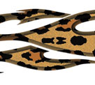 Leopard Skin Bevel