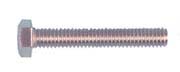 Stainless steel screw (20)